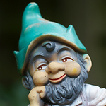 Wim Van Groenewoud - Flickr Profile Picture of Wim Van Groenewoud (@wim van groenewoud) on Flickr