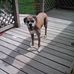 Profile Picture of Frances Boudreau (@frances.boudreau.12) on Facebook
