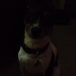 Profile Picture of Kaleigha Daniel Flett (@kkfl774) on Instagram