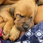 Profile Picture of Devon Hawkins (@devon_hawkins1234) on Instagram