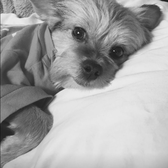 Profile Picture of Monica Hendrix (@mynameismo) on Poshmark