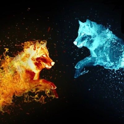 Profile Picture of Léonard Duval (@LonardDuval1) on Twitter