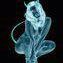 Profile Picture of Paula Forehand (@mzdiabla) on Pinterest
