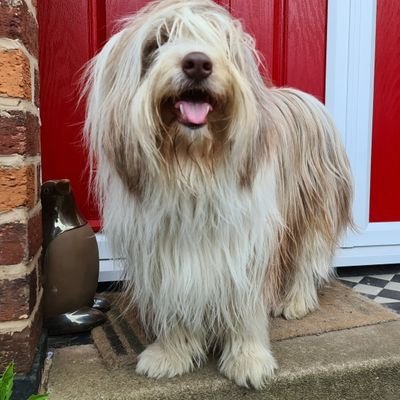 Profile Picture of Steve Hurst (@stevehurst79) on Twitter