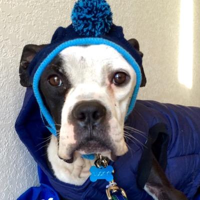 Profile Picture of Jamie Travis (@JamieTravis2010) on Twitter