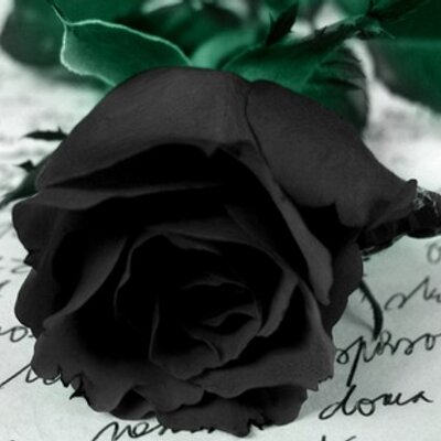 Profile Picture of Jessica Aurelio (@JessicaAurelio) on Twitter