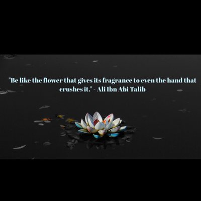 Profile Picture of Eddie Stark (@EddieRo88276374) on Twitter