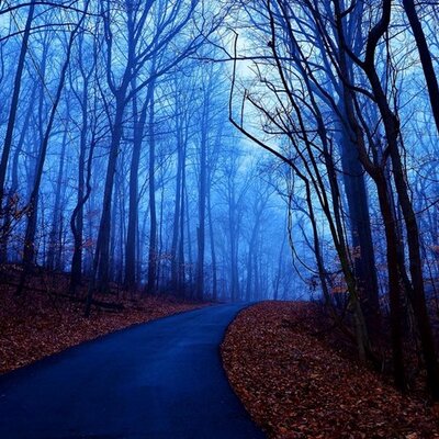 Profile Picture of Michelle Reimer (@wheremu) on Twitter