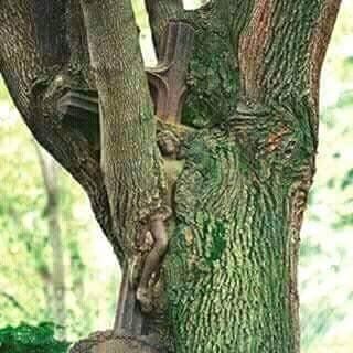 Robert Bais - Facebook Profile Picture of Robert Bais (@Robert-Bais) on Facebook