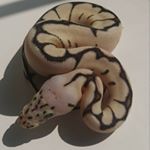 Profile Picture of Brian Perry (@brian.perry.9699) on Instagram