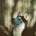 Profile Picture of steve gallegos (@stevieray.gallegos) on Instagram