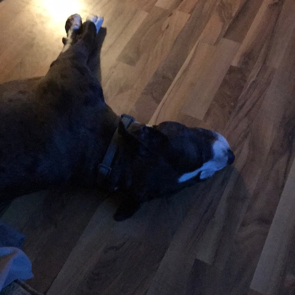 Profile Picture of Becky Quitter (@m_quitter) on Poshmark