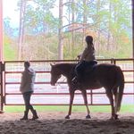 Tyler Bone - Instagram Profile Picture of Tyler Bone (@ty_ty_bone) on Instagram