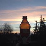 Profile Picture of Drew Olson (@drolson18) on Instagram
