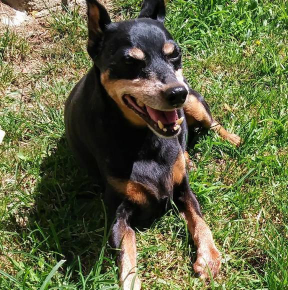 Profile Picture of Karla Gilsdorf (@karlagils) on Poshmark