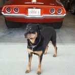 Profile Picture of Greg Greenstein (@greg.greenstein.54) on Facebook