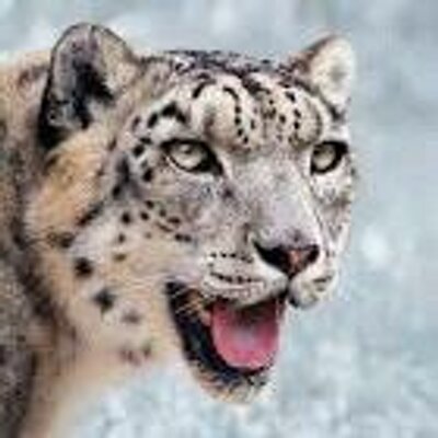 Profile Picture of Jordan Plummer (@jordantplummer) on Twitter