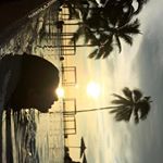 Roberta_😂_stone - Instagram Profile Picture of Roberta_😂_stone (@roberta_m_stone) on Instagram