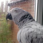 Profile Picture of Dawny Dawn (@dawn_read) on Instagram