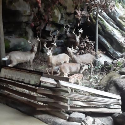 Ted Rowland - Twitter Profile Picture of Ted Rowland (@TedRowland7) on Twitter