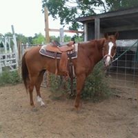 Profile Picture of Ruby Hopkins (@ruby-hopkins-5) on Quora