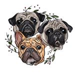 Profile Picture of Frank,Poppy & Norma✌🏻 (@frankpoppyandnorma) on Instagram