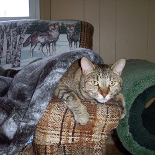 Profile Picture of Shirley Maracle (@shirley.maracle1) on Facebook