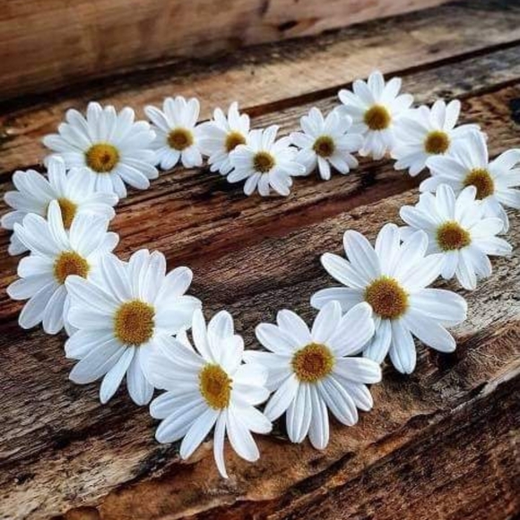 Profile Picture of Briony Koehne (@madenuk) on Poshmark