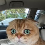 Profile Picture of Kun Chee (@Kun-Chee) on Facebook