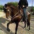 Profile Picture of Jesús Alberto Carrera Soltero (@carrerasoltero) on Instagram