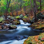 Profile Picture of David Košík (@davidk_photo) on Instagram