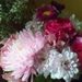 Profile Picture of Linda Dudley (@aprilsjourney13) on Pinterest