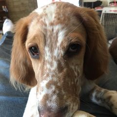 Profile Picture of Jerry R Mattern (@jerryrmattern) on Tiktok