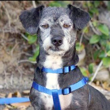 Profile Picture of Tom McGrew (@grew_tom) on Twitter