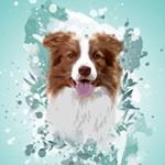 Profile Picture of 💕Alvin🐾 (@alvin_brownbc) on Instagram