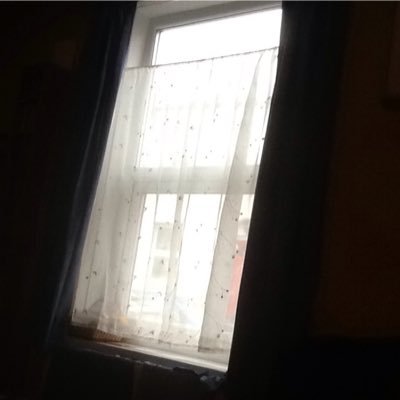 Profile Picture of Ian Antony Lander (@alfiecop21) on Twitter