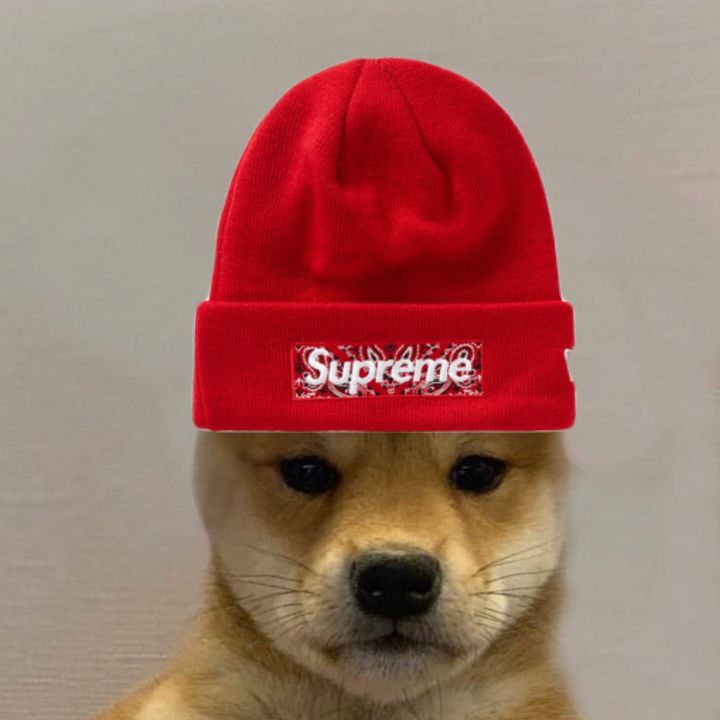 andrew - Tiktok Profile Picture of andrew (@andrewpuz) on Tiktok