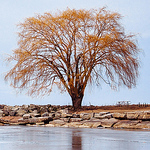 Profile Picture of Alex Toney (@fragilemachinery) on Flickr