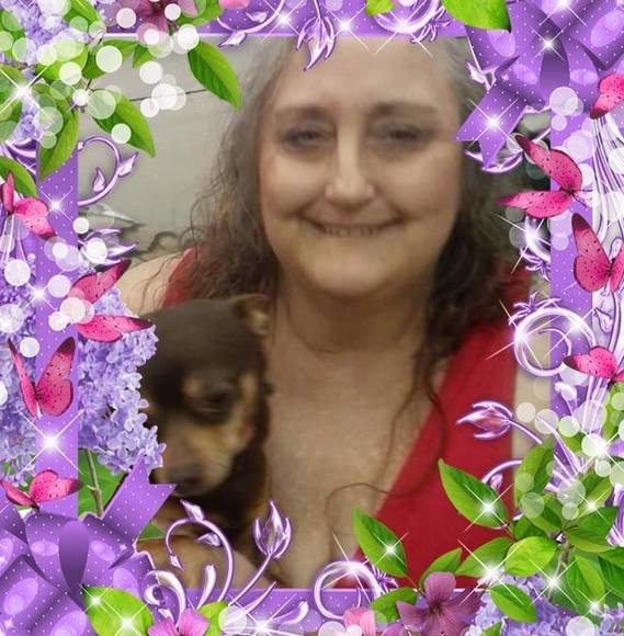 Profile Picture of Lisa Shields (@shieldslisa1) on Poshmark