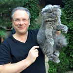 Profile Picture of Jerry angelo (@jerryangelo001) on Instagram