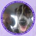 Profile Picture of Ray Connors (@ray.connors.5249) on Facebook