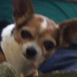 Profile Picture of Dixie Woods (@dixiewoods75) on Instagram