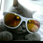 Profile Picture of Danny Rausch (@danny_rausch) on Instagram