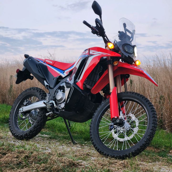 Profile Picture of Seth Pigman (@seth_pigman) on Tiktok