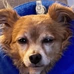 Profile Picture of Claudia Eilertsen Chartrand (@claudia.e.chartrand) on Facebook