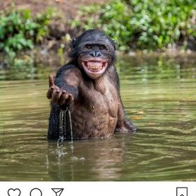 Gustavo David Ahumada - Twitter Profile Picture of Gustavo David Ahumada (@GustavoDavidAh1) on Twitter