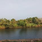 Profile Picture of Shimer Shambles (@Shimer-Shambles) on Facebook