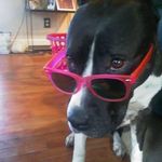 Profile Picture of Renee Tanguay-Griffin (@reneetanguaygriffin) on Instagram