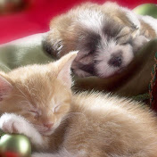 Profile Picture of Kendra's Gantt (@kendrasgantt7685) on Youtube