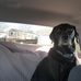Profile Picture of Guy Irvin (@guy.irvin.965) on Facebook